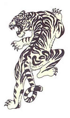 The Tiger tattoo I am going to get It finally occurred to me during my 